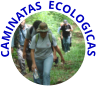 CAMINATAS  ECOLOGICAS