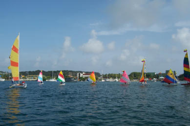 Clases de Sun Fish en San Andres isla  reservas-www.detourtravel.co +57 3186163346