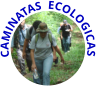 CAMINATAS  ECOLOGICAS
