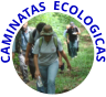 CAMINATAS  ECOLOGICAS