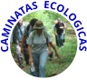CAMINATAS  ECOLOGICAS