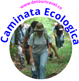 Caminata Ecologica  www.detourtravel.co