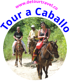 Tour a Caballo www.detourtravel.co