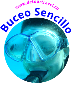 Buceo Sencillo www.detourtravel.co
