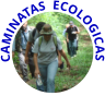 CAMINATAS  ECOLOGICAS